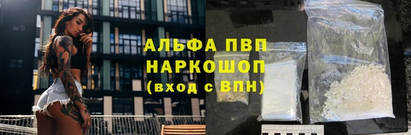 мяу мяу мука Беслан