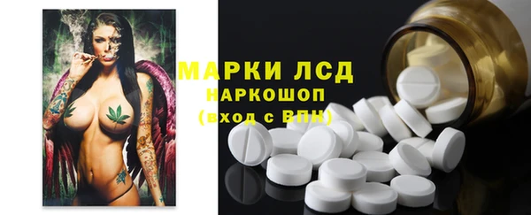 дмт Краснослободск