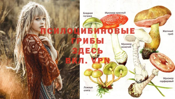меф VHQ Кукмор
