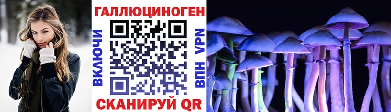 Псилоцибиновые грибы Psilocybe  Куртамыш 